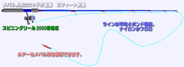 �A�W�̃��A�[�ނ�I�A�W���O�̍œK�ȃ��b�h�ł��B�@�A�W���O�^�b�N���̐����摜
