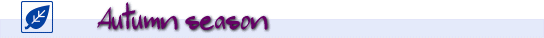 �H�̃u���b�N�o�X�̐��ԁi�o�X�̏H�p�^�[���j