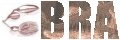 �u���b�N�o�X�������@BRA