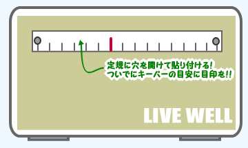 自作ライブウェル!一工夫で使いやすく