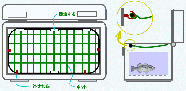 ライブウェルから飛び出すバスを防ぐ!