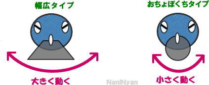 ミノーを正面から見る