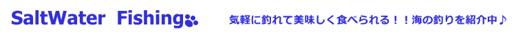 ソルトウォーター（海釣り）のルアーフィッシングを紹介